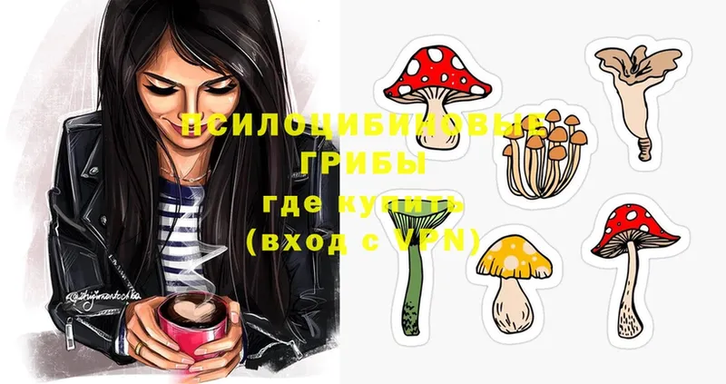 Галлюциногенные грибы мицелий  что такое   darknet Telegram  Глазов 